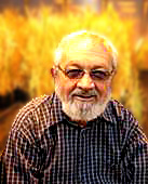 Ian DeLacy is a Plant Breeder in the School of Land, Crop and Food Sciences, University of Queensland and responsible for the development of the Speed Breeding Program.